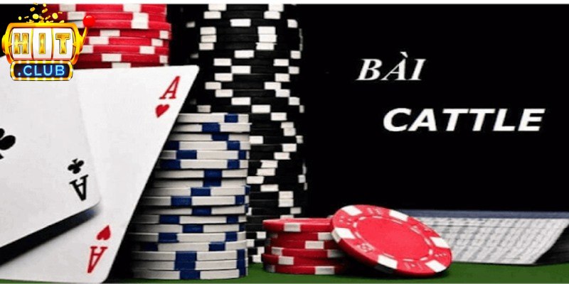 Cách Chơi Game Bài Catte Hitclub Cho Người Mới 4 Nắm rõ cách chơi game bài catte giúp game thủ hiểu rõ quy trình tham gia