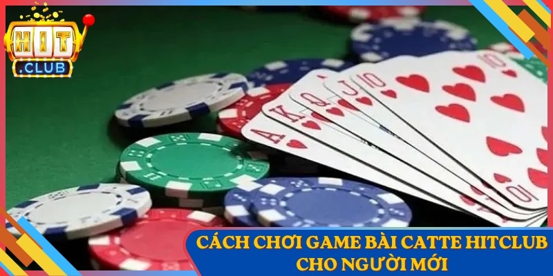 Cách Chơi Game Bài Catte Hitclub Cho Người Mới 1 Cách Chơi Game Bài Catte Hitclub Cho Người Mới