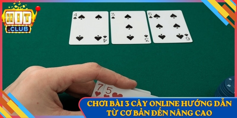 Chơi Bài 3 Cây Online Hướng Dẫn Từ Cơ Bản Đến Nâng Cao 1 Chơi Bài 3 Cây Online Hướng Dẫn Từ Cơ Bản Đến Nâng Cao